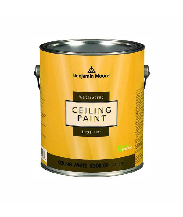 Ceiling Paint - Ceiling Paint